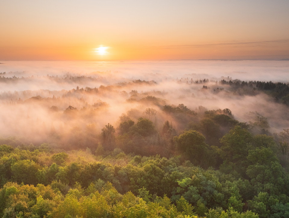 Sonnenaufgang auf dem Schönbuchturm