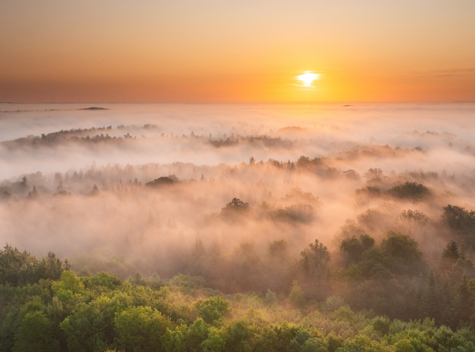 Sonnenaufgang auf dem Schönbuchturm