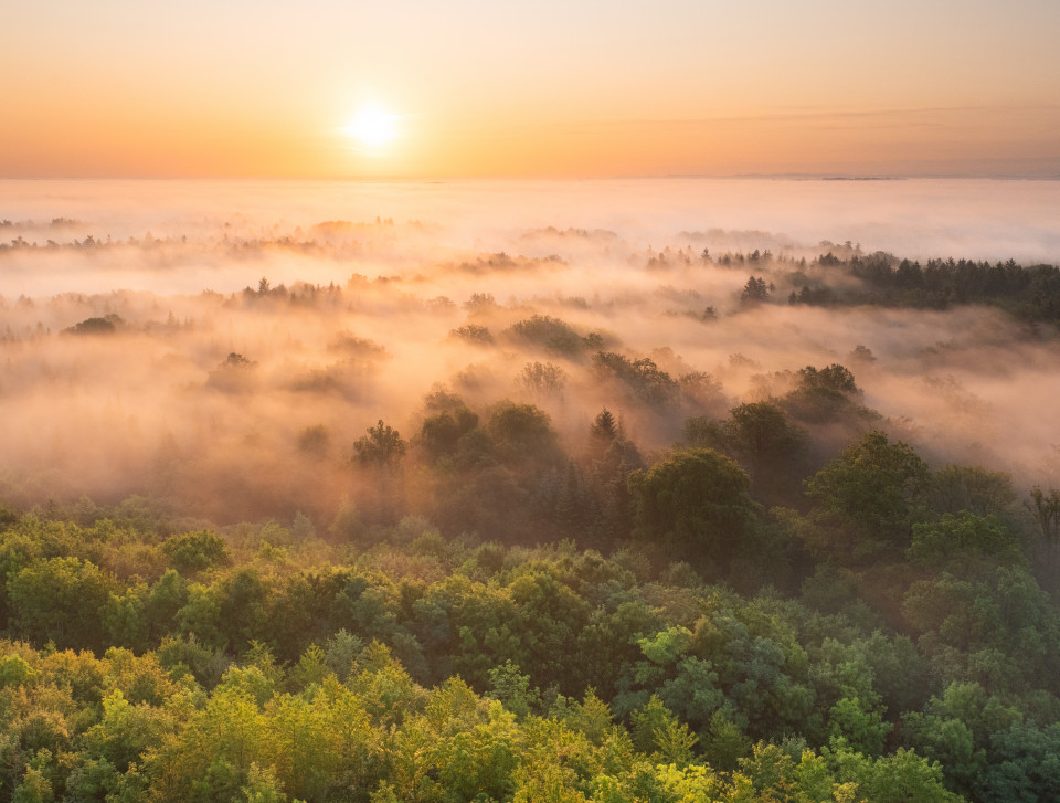 Sonnenaufgang auf dem Schönbuchturm