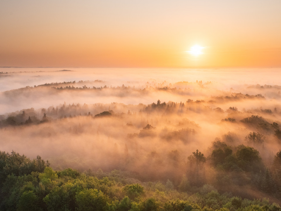 Sonnenaufgang auf dem Schönbuchturm