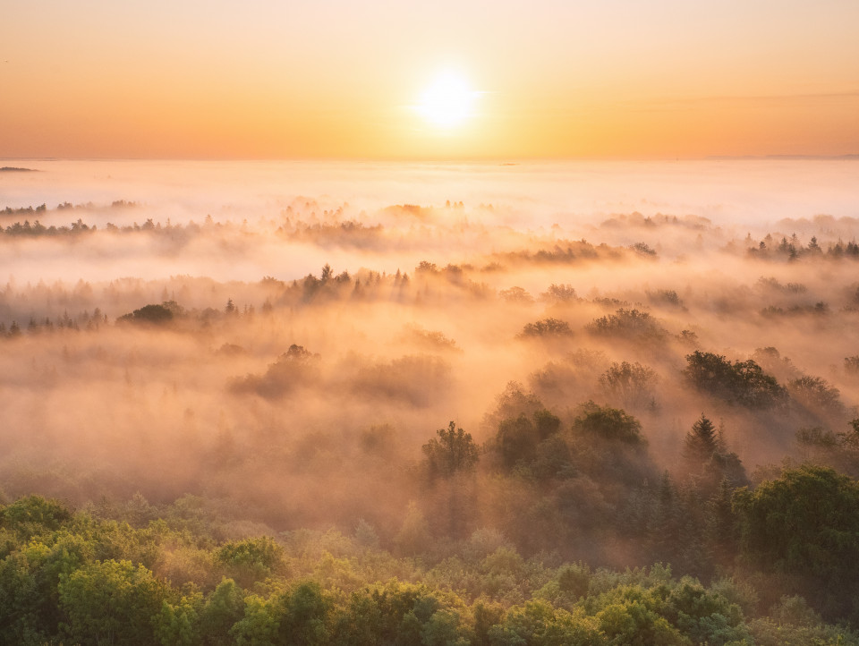 Sonnenaufgang auf dem Schönbuchturm