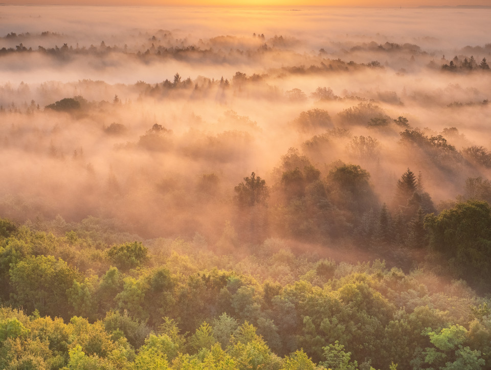 Morgendliche Nebelstimmung unter dem Schönbuchturm