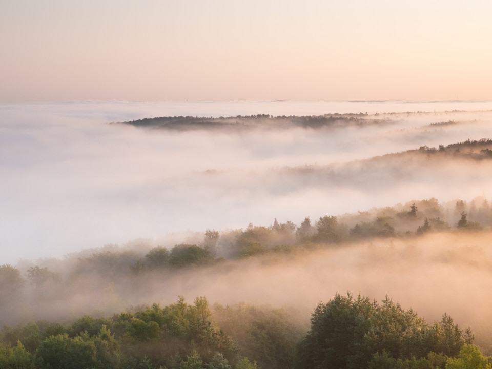 Morgendliche Nebelstimmung unter dem Schönbuchturm