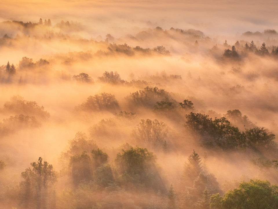 Morgendliche Nebelstimmung unter dem Schönbuchturm