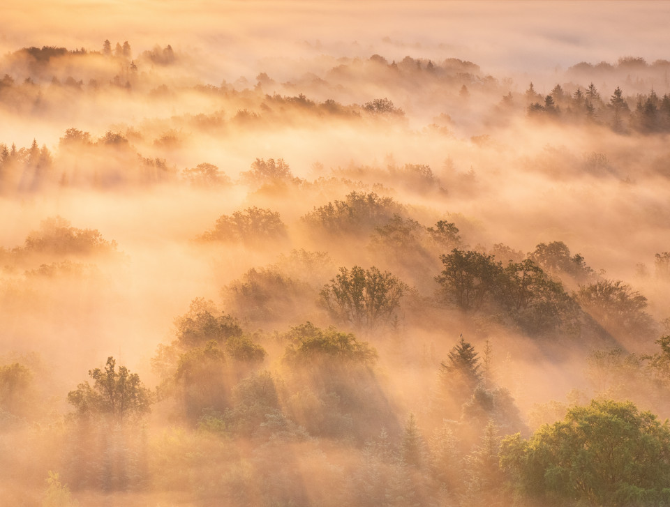 Morgendliche Nebelstimmung unter dem Schönbuchturm