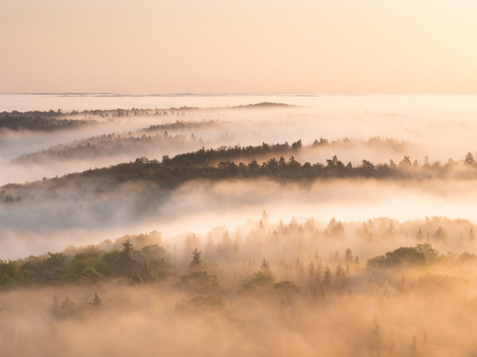 Morgendliche Nebelstimmung unter dem Schönbuchturm