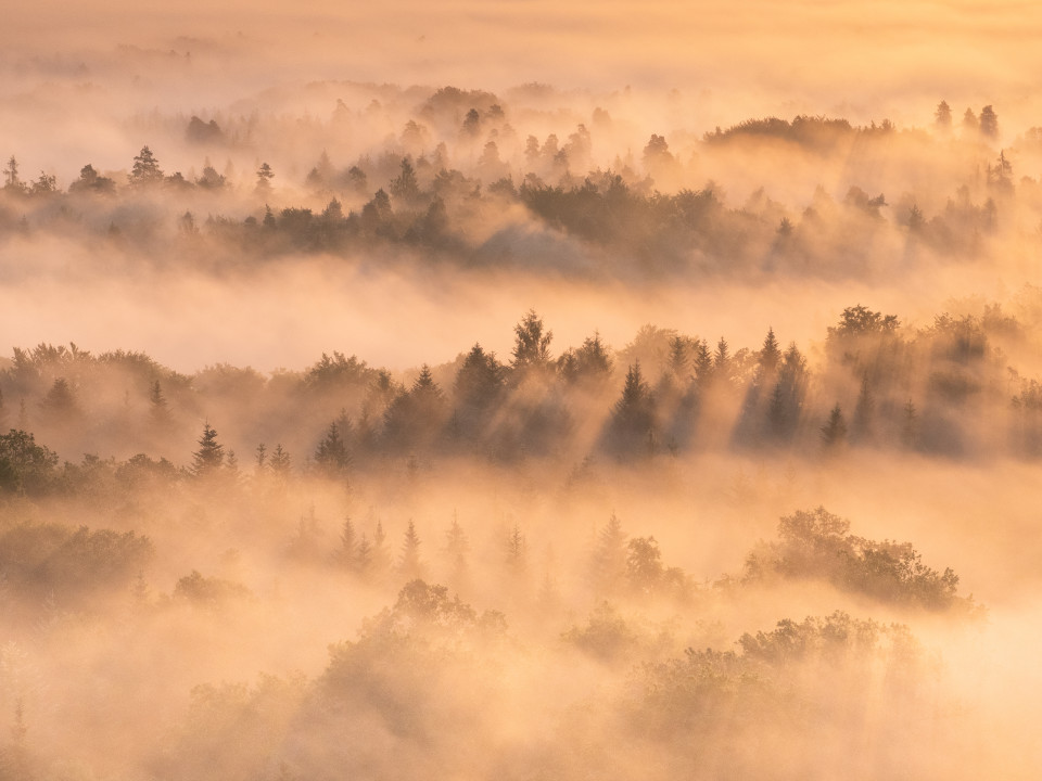 Morgendliche Nebelstimmung unter dem Schönbuchturm