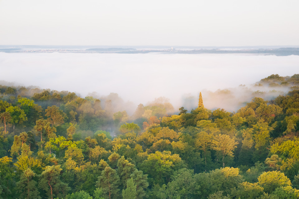 Aussicht vom Schönbuchturm