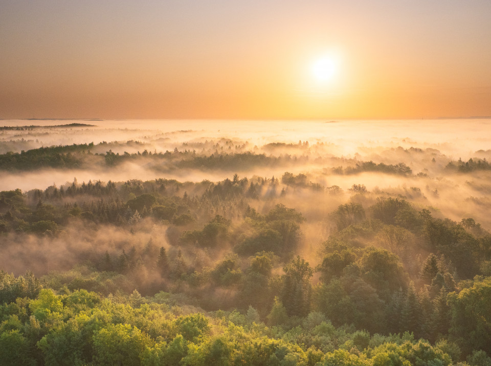 Sonnenaufgang auf dem Schönbuchturm