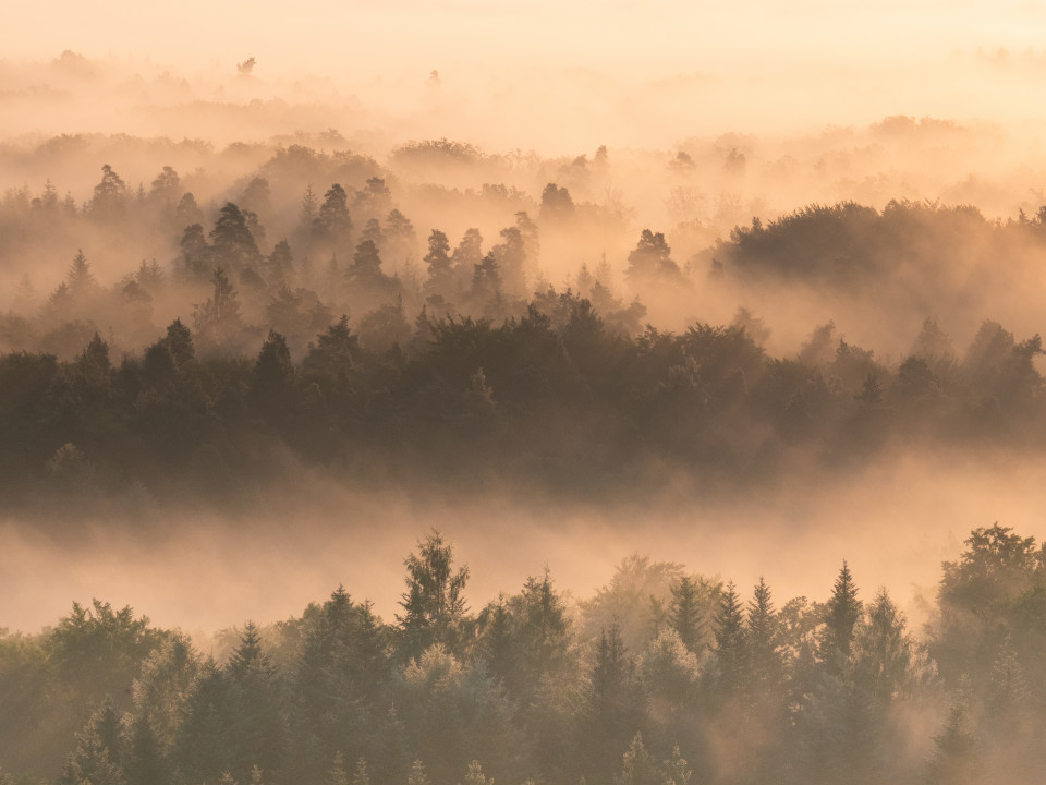 Morgendliche Nebelstimmung unter dem Schönbuchturm