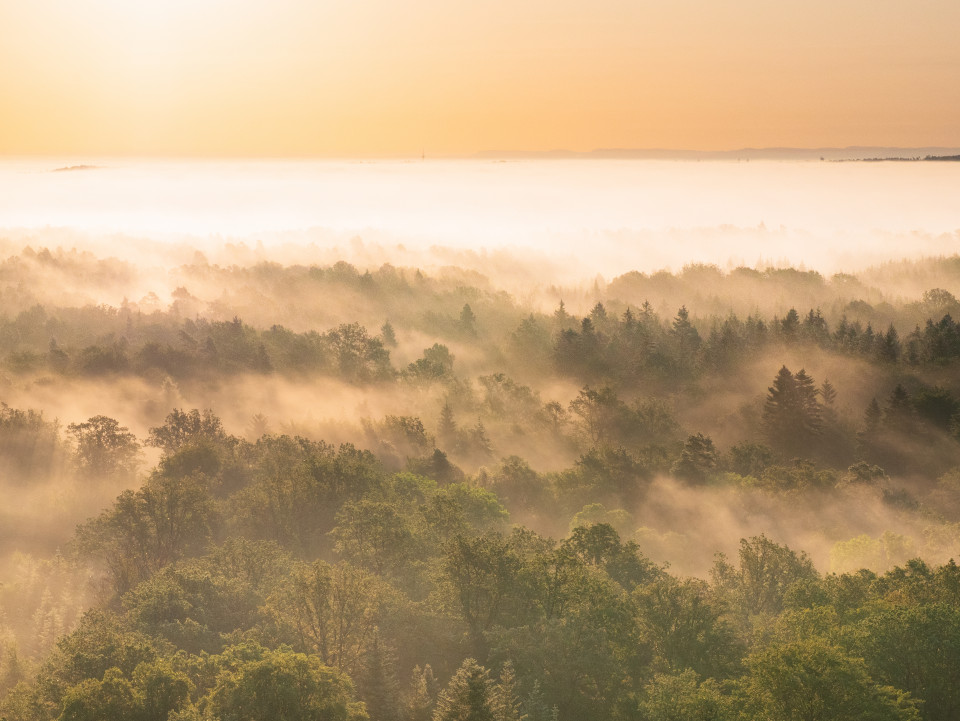 Morgenstimmung auf dem Schönbuchturm