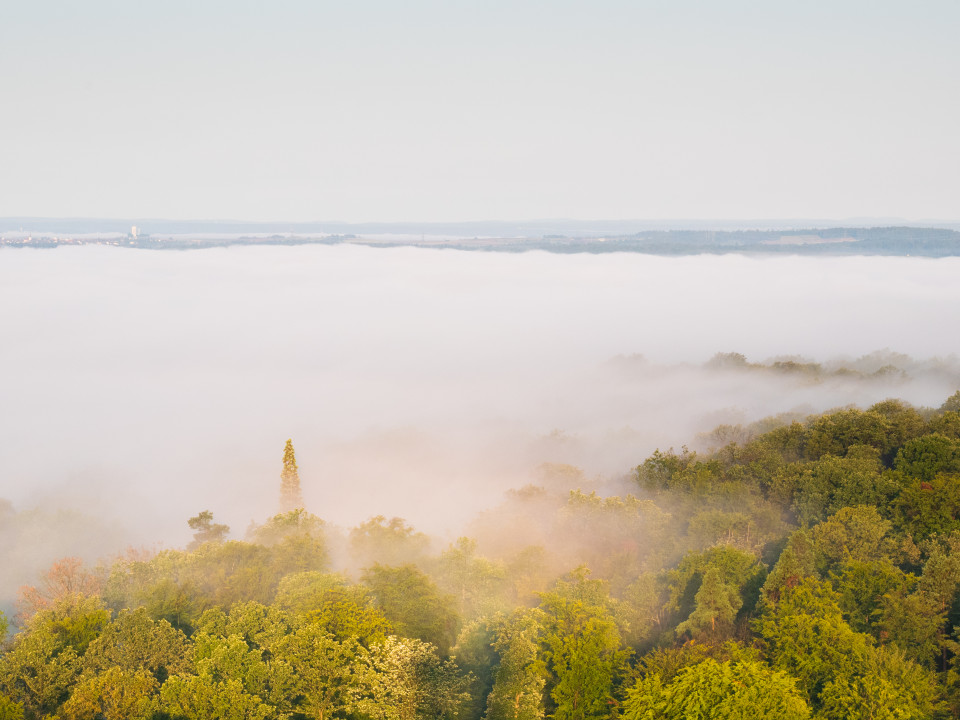 Aussicht vom Schönbuchturm