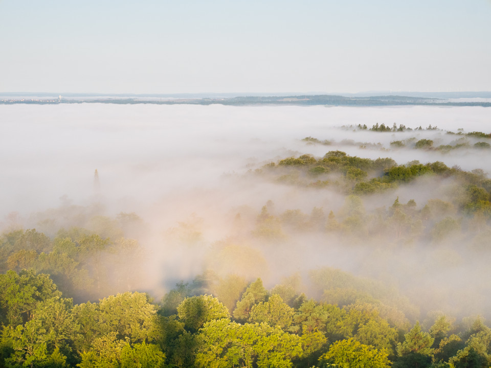 Aussicht vom Schönbuchturm