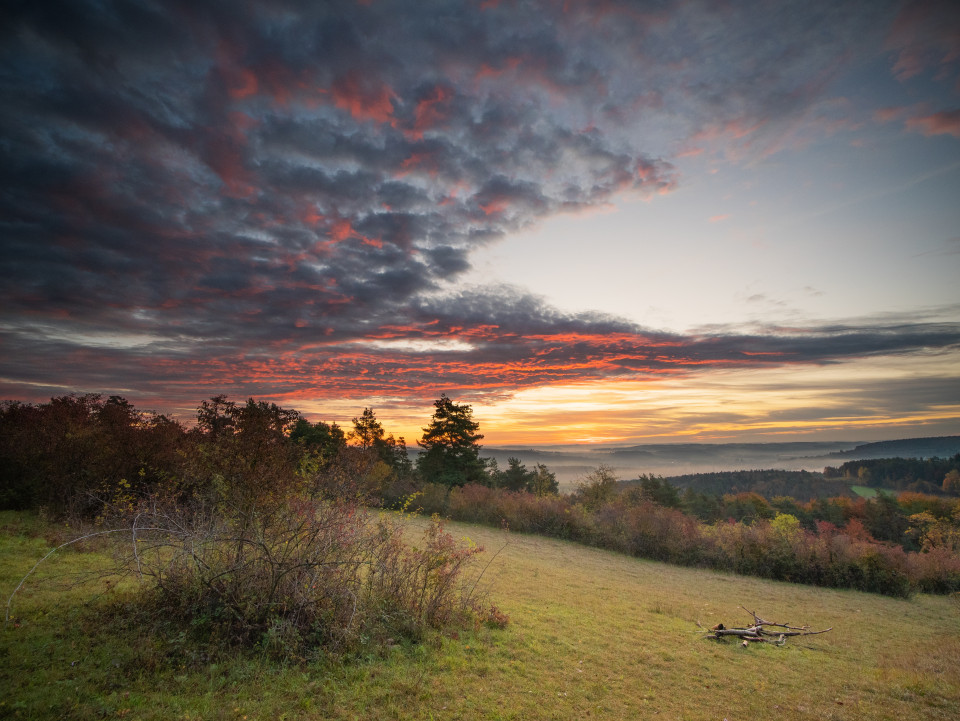 Herbstmorgen auf dem Büchelberg