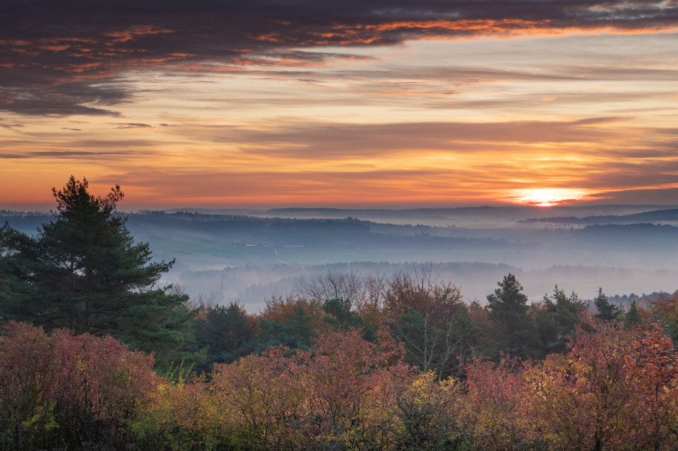 Herbstmorgen auf dem Büchelberg