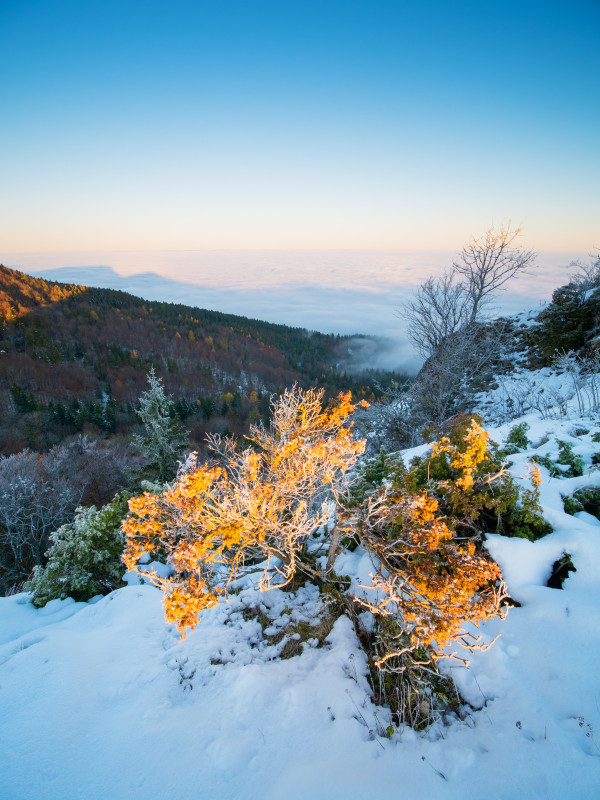 Aussicht vom Lochenstein bei Inversionswetterlage