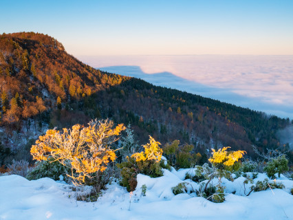 Aussicht vom Lochenstein bei Inversionswetterlage