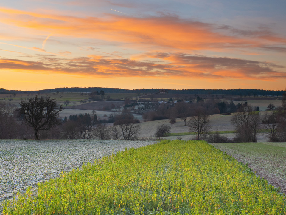 Landschaft bei Hamberg