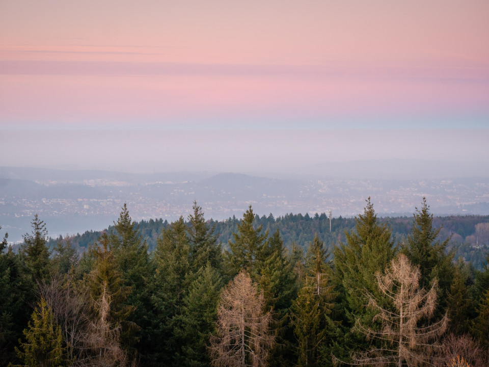 Blick über Pforzheim von der Büchenbronner Höhe