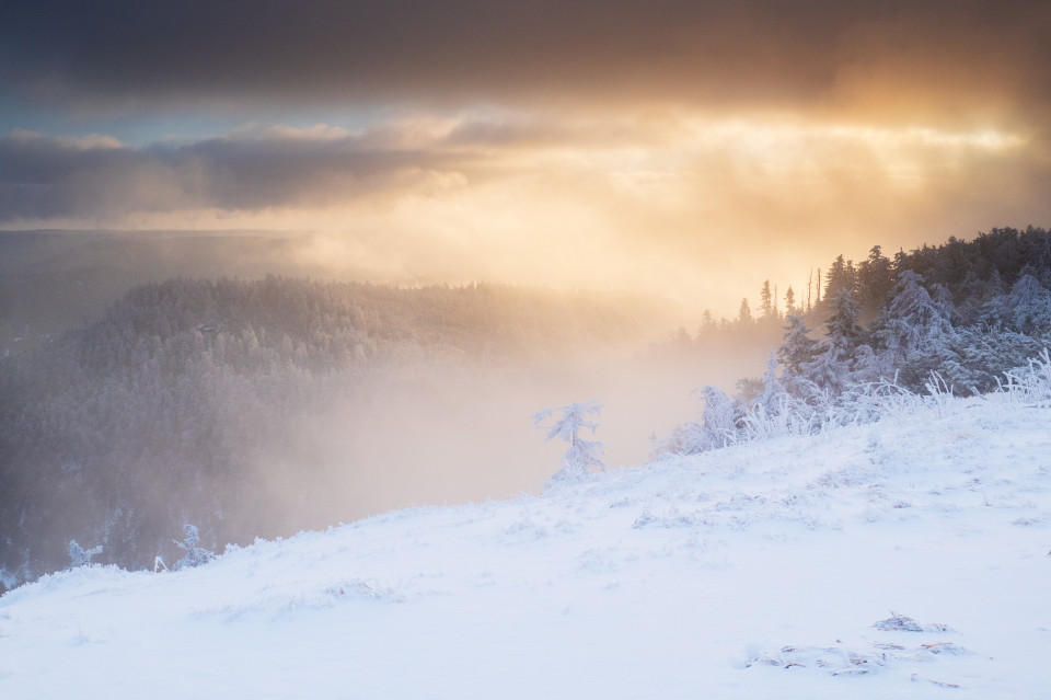 Wintermorgen auf der Hornisgrinde