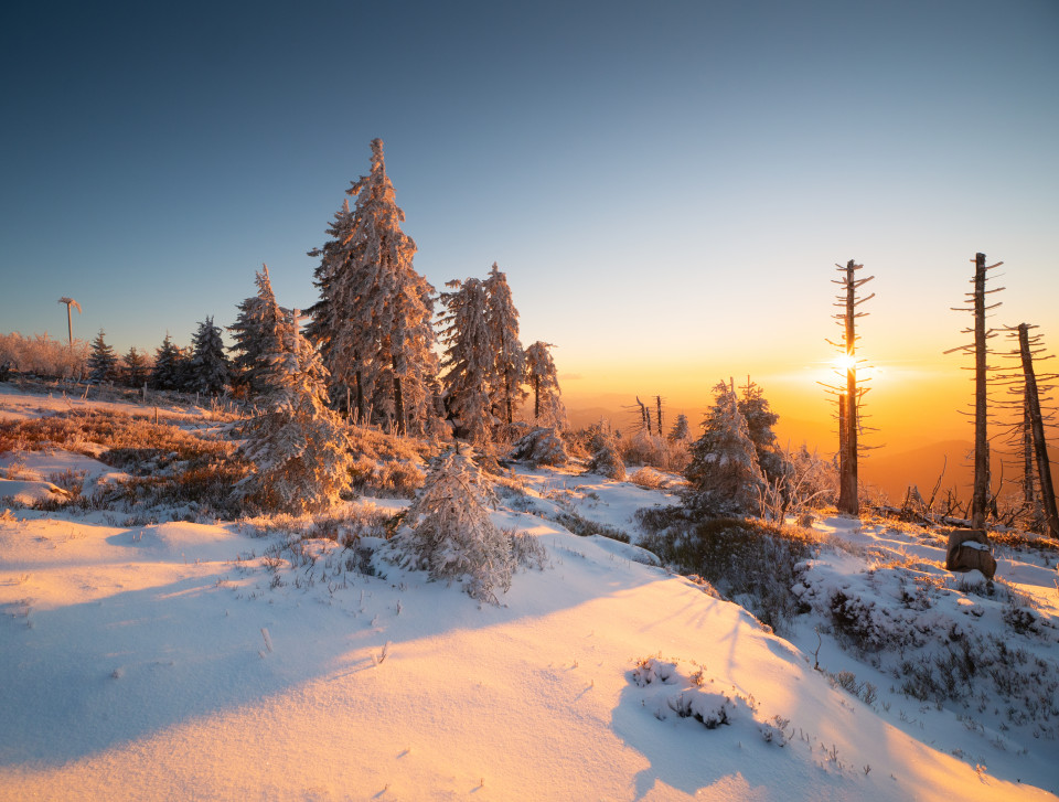 Sonnenuntergang auf der Hornisgrinde