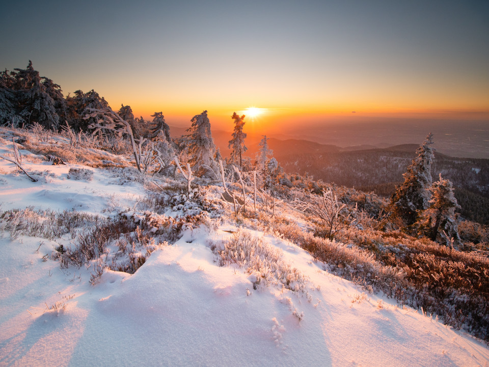 Sonnenuntergang auf der Hornisgrinde