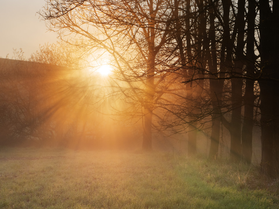 Morgensonne in der Würmaue