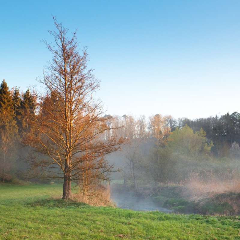 Würmaue am Heuberg