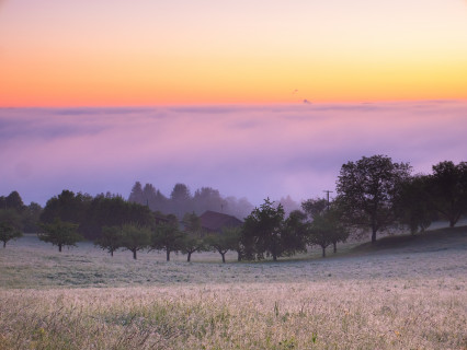 Morgennebel über Weil der Stadt