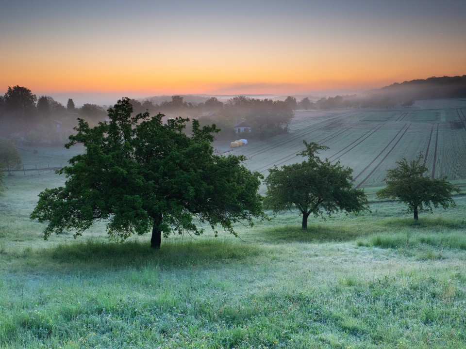 Morgenstimmung bei Renningen