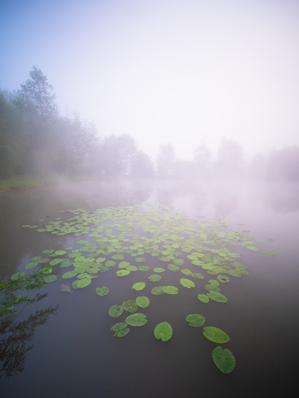 Storchenweiher bei Weil der Stadt