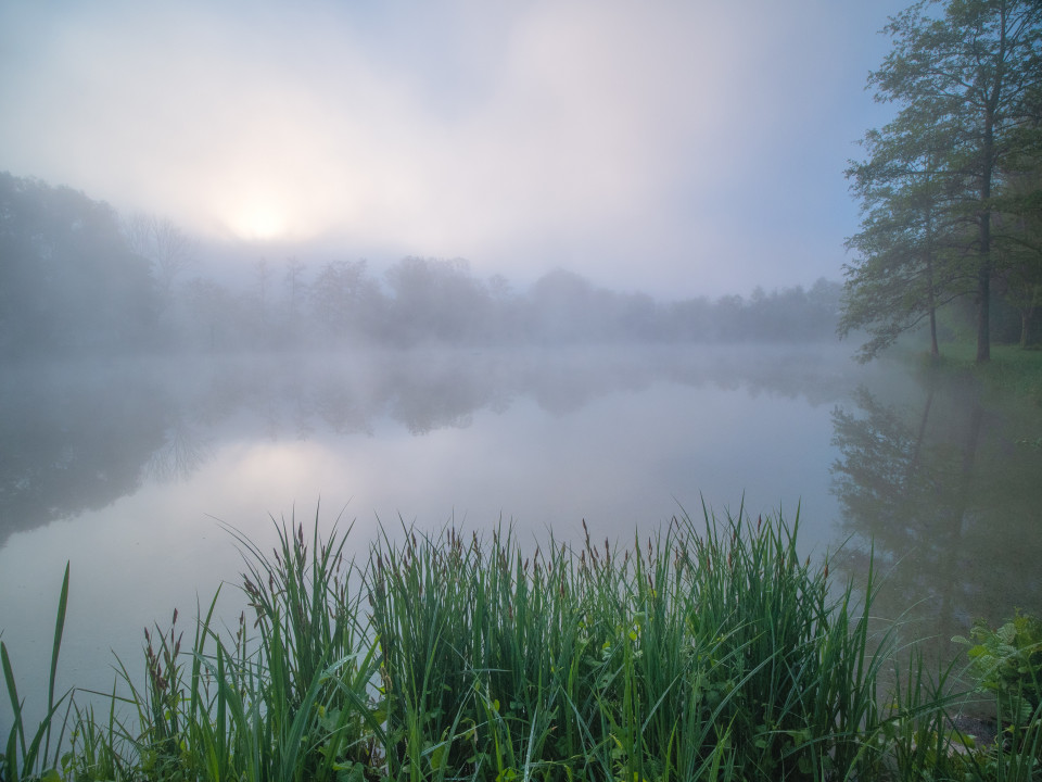 Maisenbachweiher bei Weil der Stadt