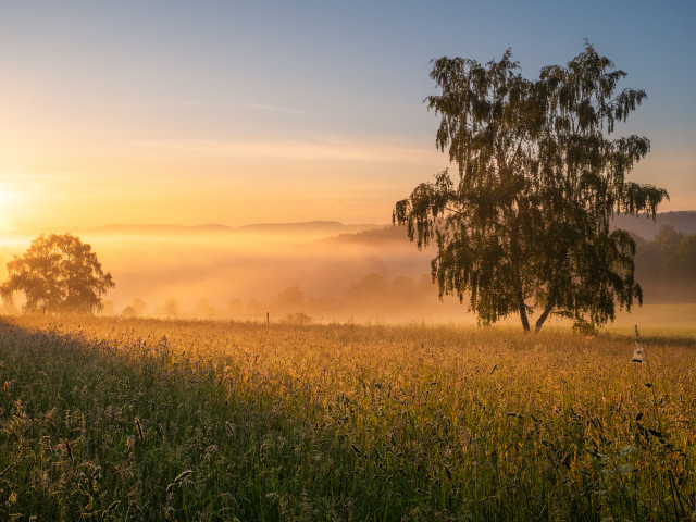 Morgenstimmung bei Marienberg