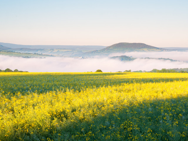 Blick zum Pöhlberg