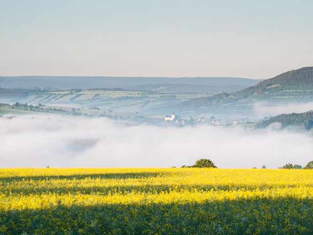 Blick auf Mildenau und den Pöhlberg