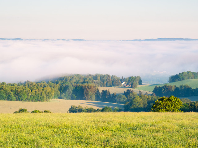 Morgendliche Inversion im Frühsommer