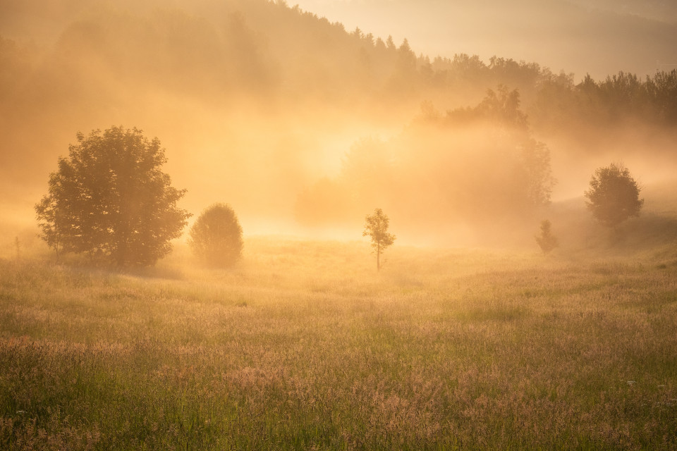 Morgenstimmung bei Pockau