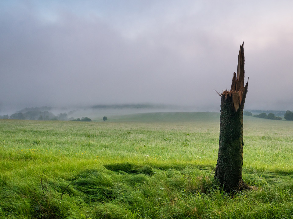 Aufziehender Nebel