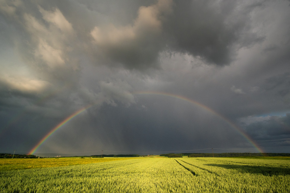 Regenbogen