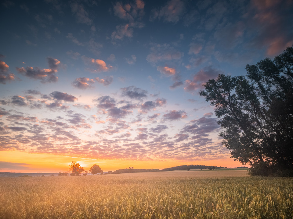 Sonnenaufgang auf dem Galgenberg bei Neuhausen