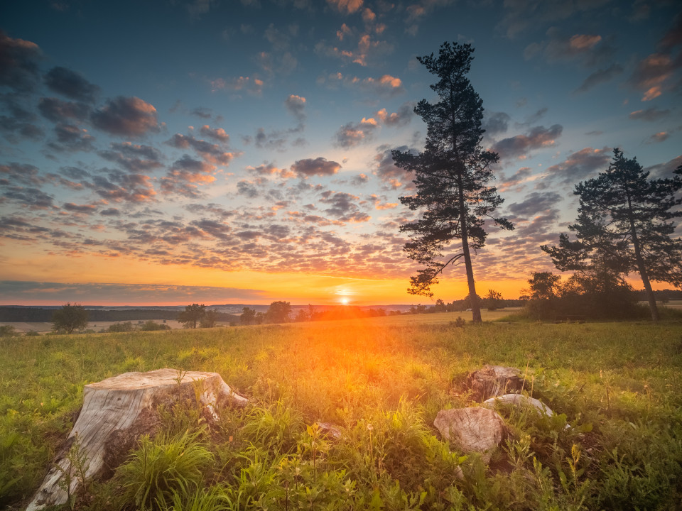 Sonnenaufgang auf dem Galgenberg bei Neuhausen