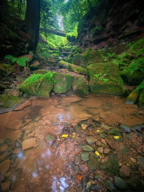 Lützenschlucht