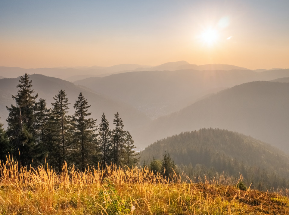 Blick vom Silberberg über Todtnau und das Wiesental