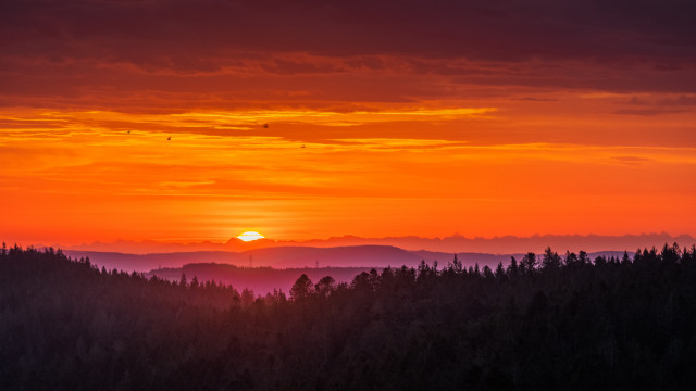 Sonnenaufgang mit Alpenblick bei Föhnwetterlage