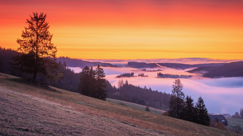 Herbstmorgen über dem Spriegelsbachtal