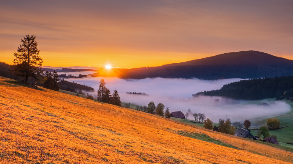 Herbstmorgen über dem Spriegelsbachtal