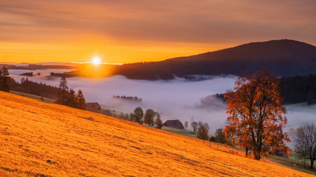 Herbstmorgen über dem Spriegelsbachtal