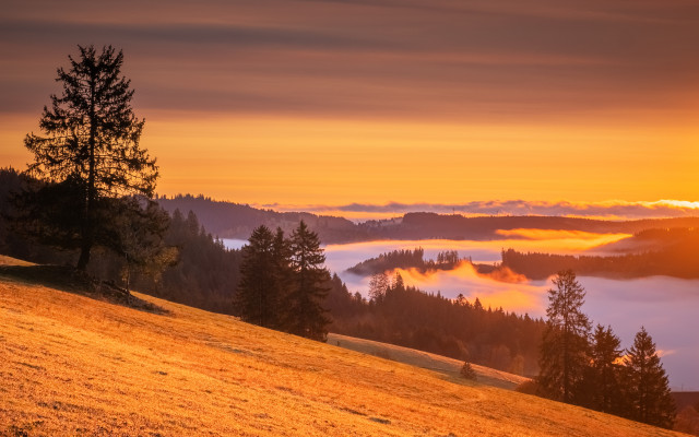 Herbstmorgen über dem Spriegelsbachtal