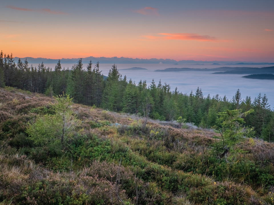 Herbstmorgen auf der Schnepfhalde