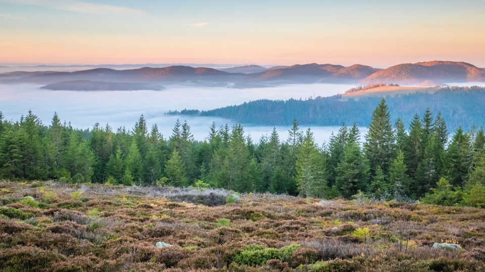 Herbstmorgen auf der Schnepfhalde